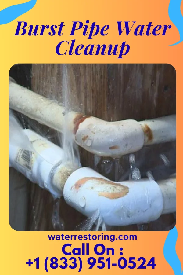 Burst Pipe Water Cleanup in Glen Echo, MD
