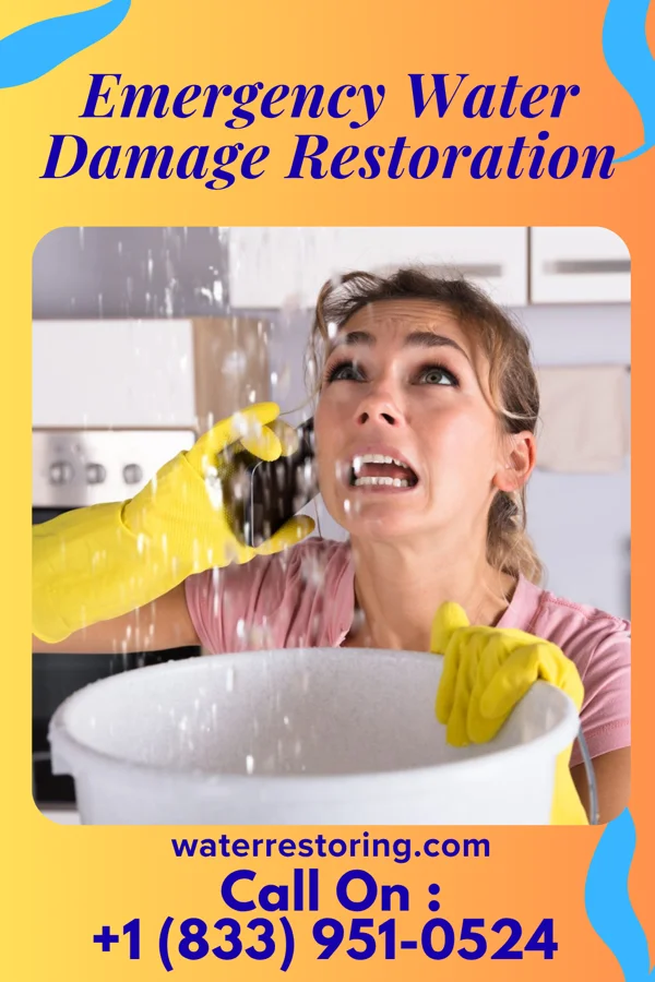 Emergency Water Damage Restoration in Glen Echo, MD