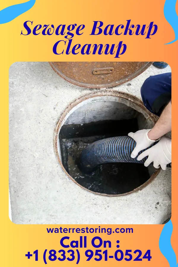 Sewage Backup Cleanup in Glen Echo, MD