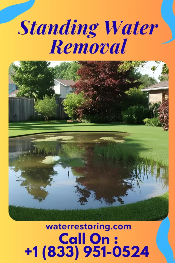 Standing Water Removal in Glen Echo, MD
